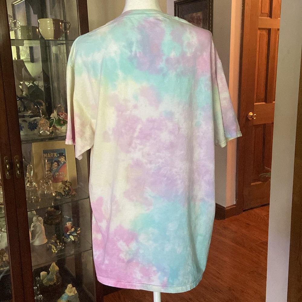 Size Large tie-dyed short sleeve t-shirt. My dog thinks I’m a big deal. Perfect - Picture 5 of 5